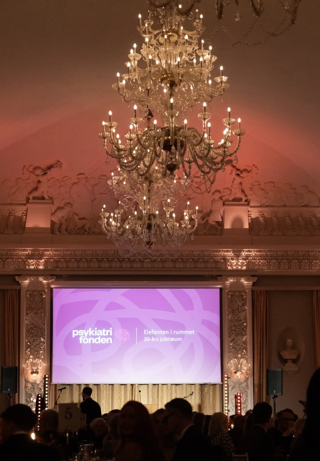 Fra Psykiatrifondens jubileum