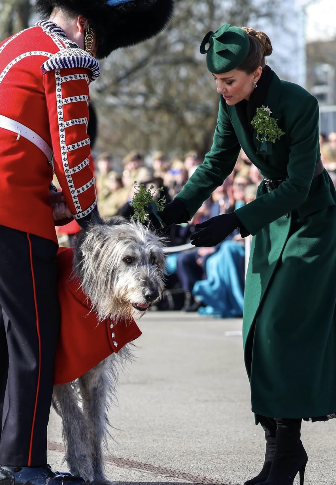 Prinsessen av Wales klapper regimentets irske ulvehund