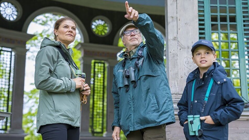 Guiden peker oppover mot en fugl