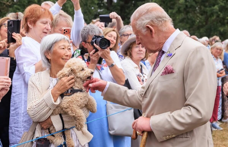 Kong Charles hilser på en puddelvalp