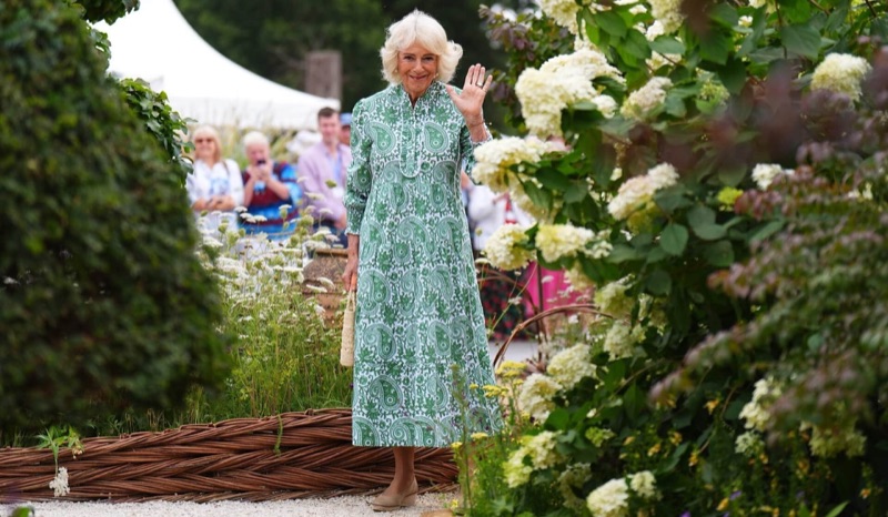Dronning Camilla blant hortensiaene i en utstillingshage