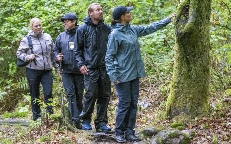Kronprinsesse Victoria studerer et mosegrodd tre sammen med turfølget