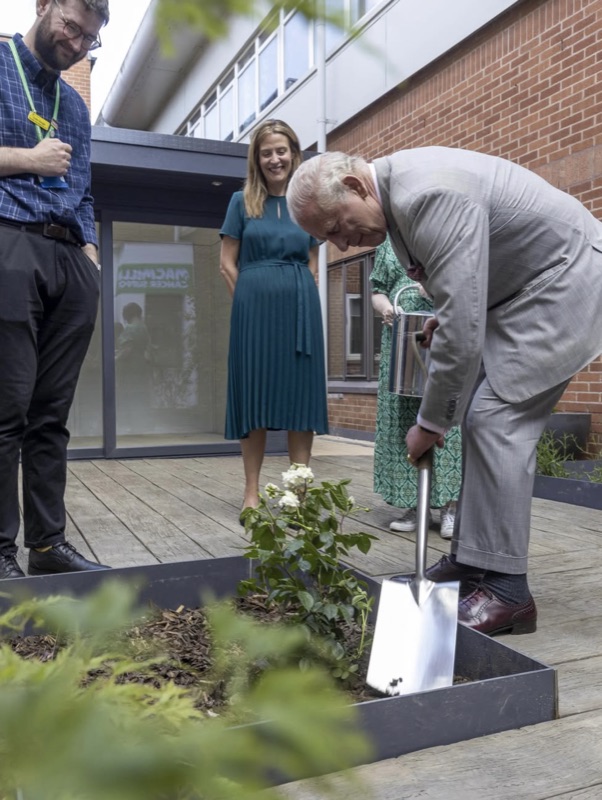 Kongen planter en rose i hagen