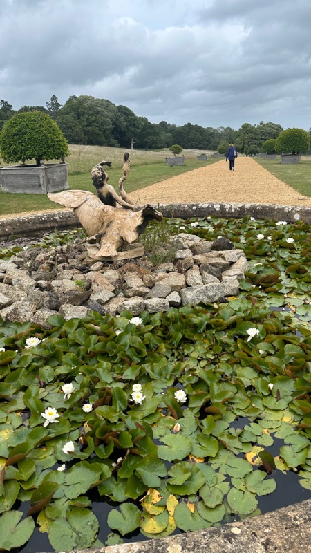 Dam med hvite vannliljer i parken