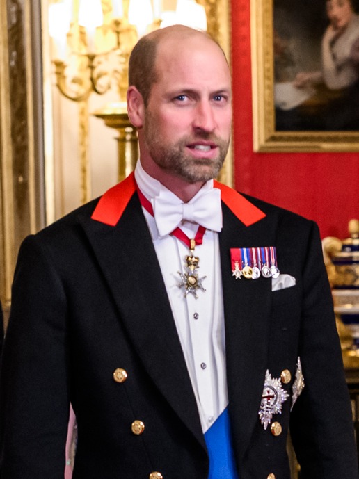 Prins William